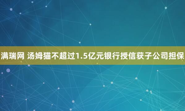 满瑞网 汤姆猫不超过1.5亿元银行授信获子公司担保
